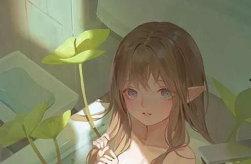 池中之物,探寻生态平衡的奥秘