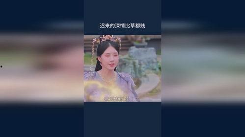 迟来情深比草贱