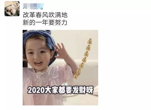 重生亲妈靠儿子们风生水起