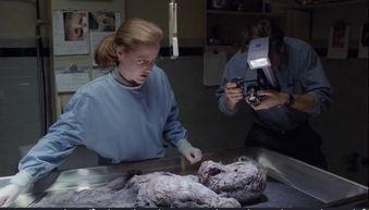 地下室里的尸体 第一季,死亡序章