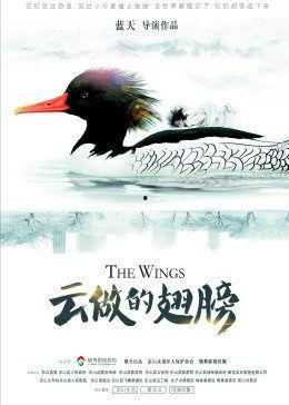 云做的翅膀,探索科技与梦幻的融合之旅