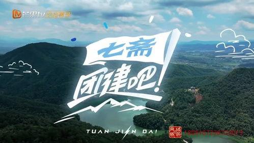 团建吧！七斋,共创团队凝聚力新篇章