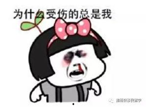 一觉醒来我要风得风,我的奇幻梦境之旅