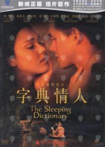 字典情人,探寻文字背后的故事与智慧